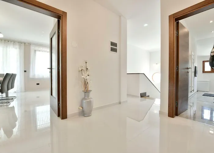 Aromatica * Vizinada